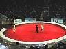 Circus4.jpg