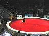 Circus6.jpg
