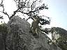 Gibralter72002.jpg