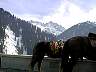 KazakMountains6.jpg