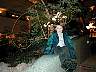 KyleattheHyattDec242002.jpg