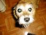 Sparkie20011.jpg